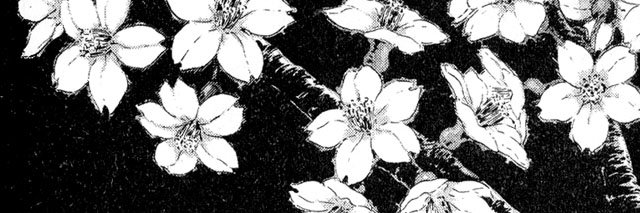 . j u n .'s banner