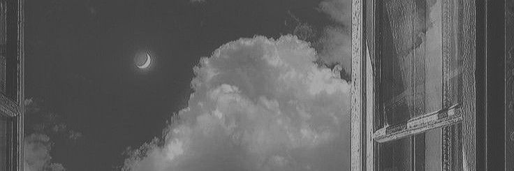 sarangloops's profile banner image