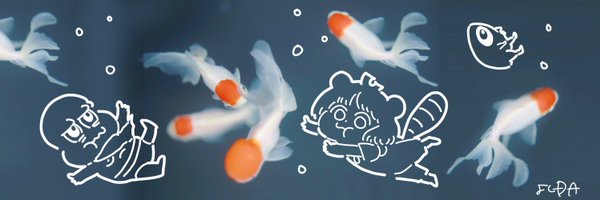 ____bokeh Profile Banner