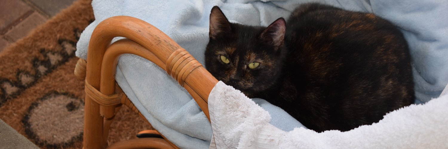 Hartmut Weber 💙 banner