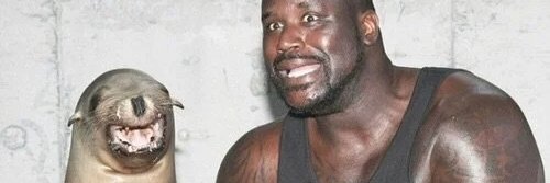 yourbuddyjeff's profile banner image