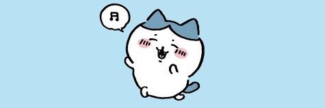 n banner