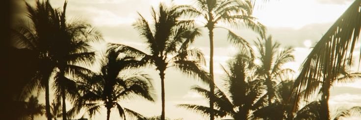 ₈ banner