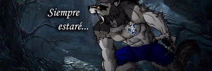 Mauro Morelli banner