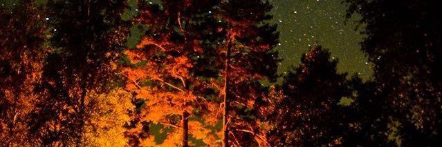 _NeaKarlsson_'s profile banner image