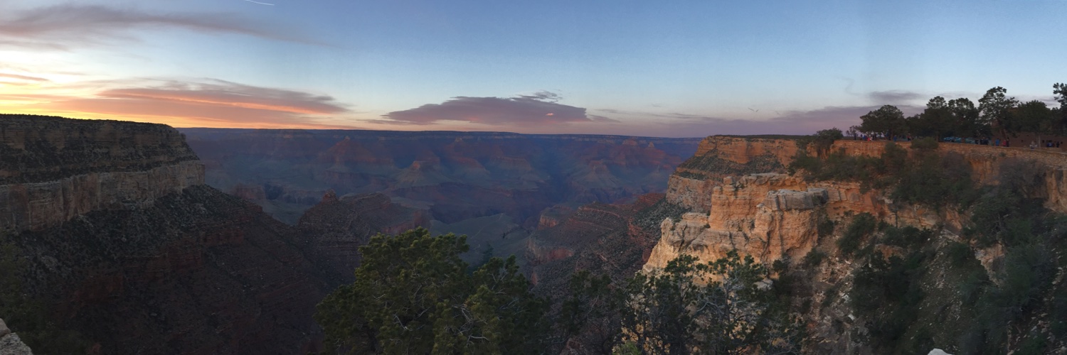 Andrew Steele banner