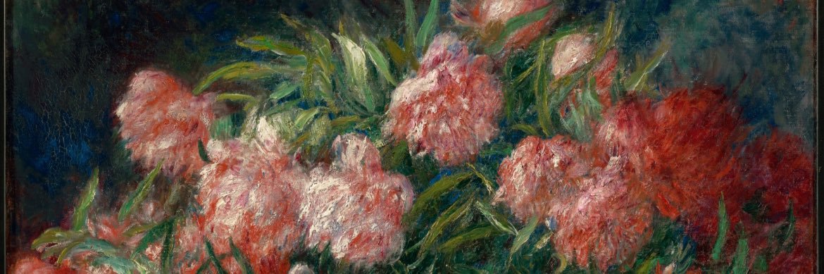 Michelle Chang banner