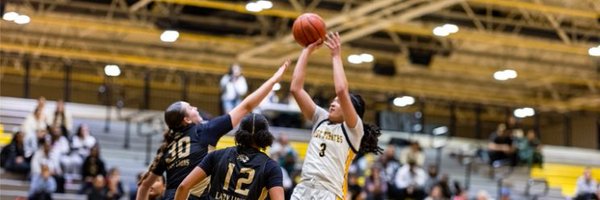 d1sophiadavis Profile Banner