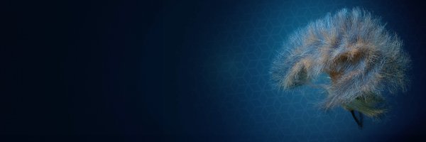 gt_neuro Profile Banner