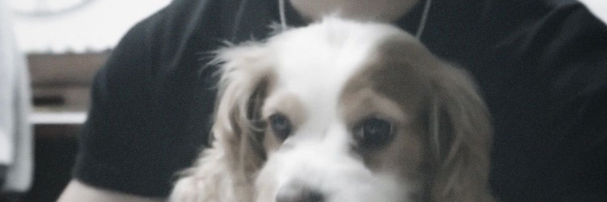 cbkiittty's profile banner image