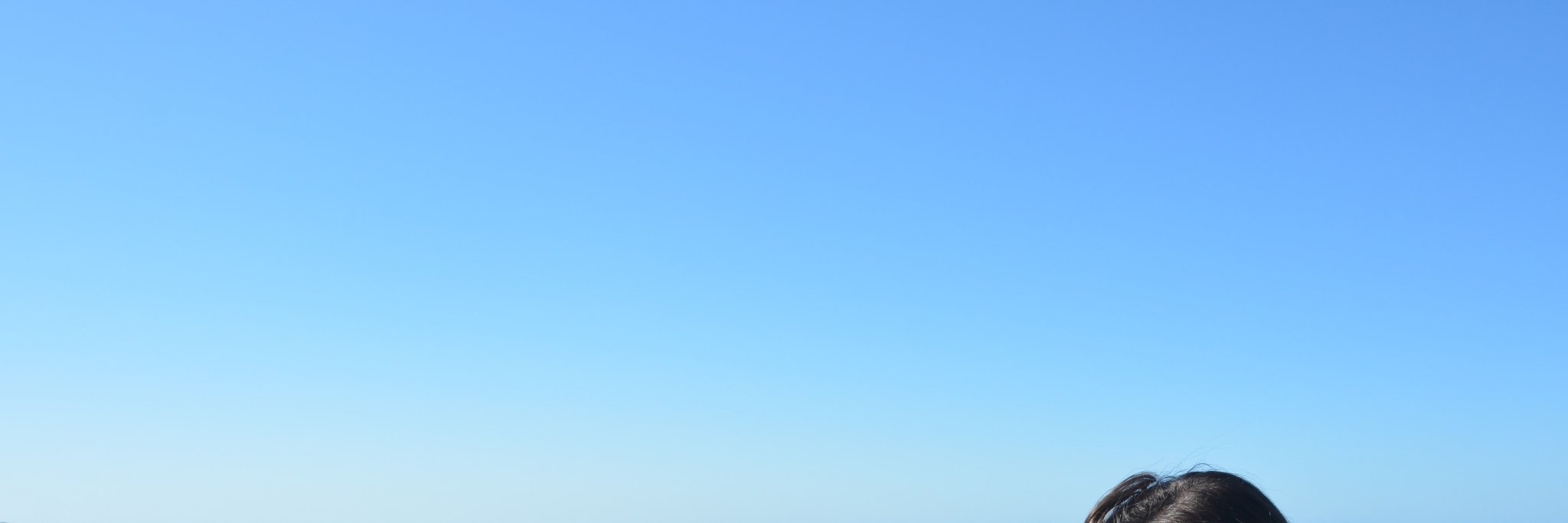 florchifur's profile banner image