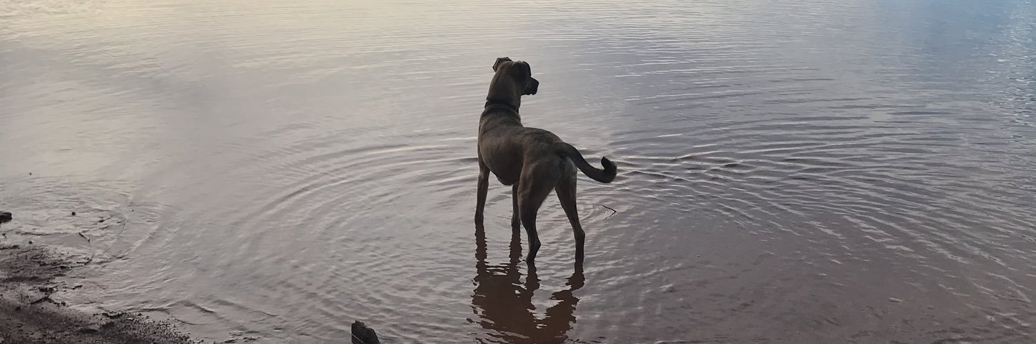 ellenpeacocknow's profile banner image