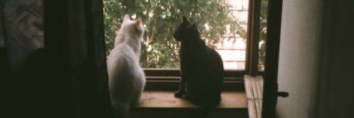 13 banner