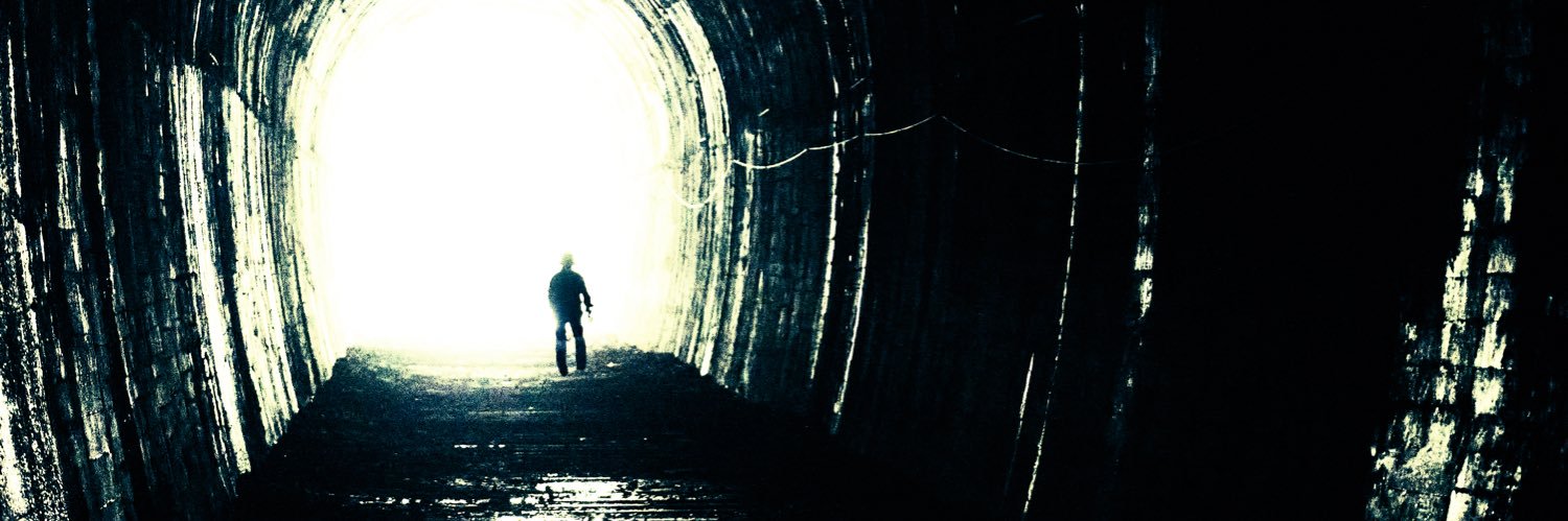 我的猫叫特朗普 banner