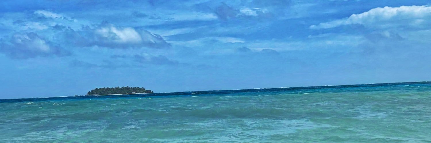 lauraO_14's profile banner image