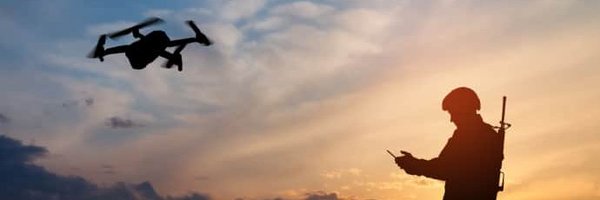 WildBeesUkraine Profile Banner