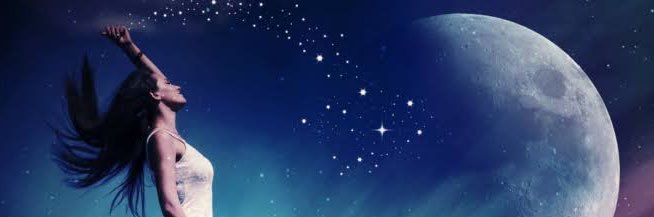zy banner