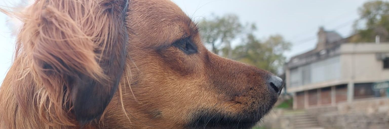 LoloDcF's profile banner image