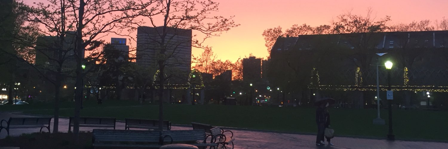 Nikki Naccarato banner