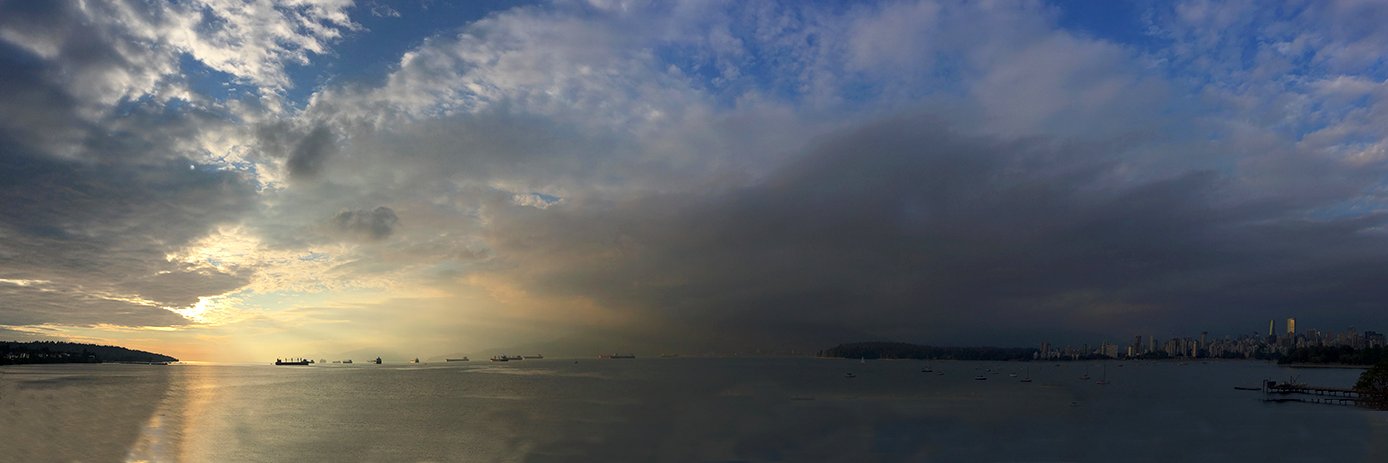 Lindsay Brown banner