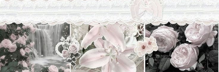 ❦❀amelia❀❦ banner