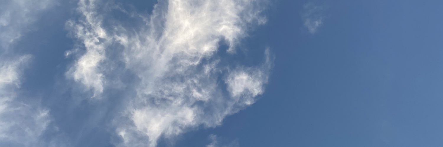 genelinnn's profile banner image