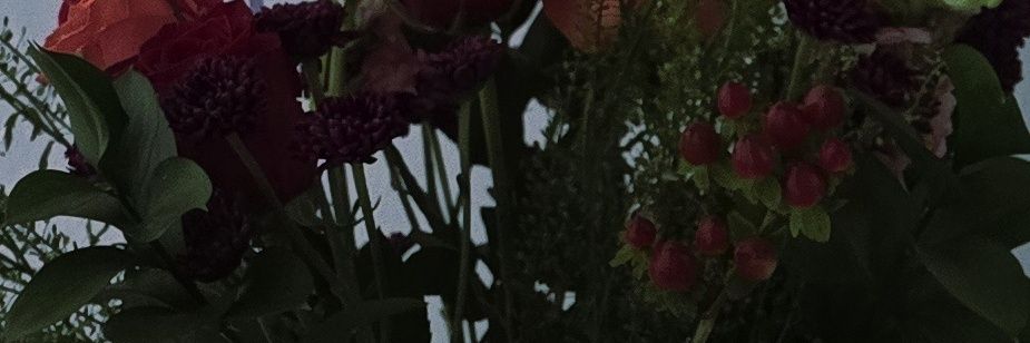 ElizabethC83326's profile banner image