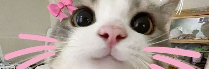 𝜗𝜚˚⋆ banner