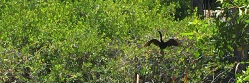tdwalter05's profile banner image