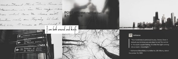 gawizn Profile Banner
