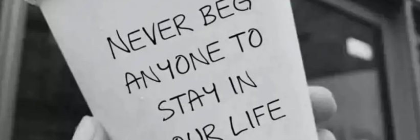 Freddy bay banner