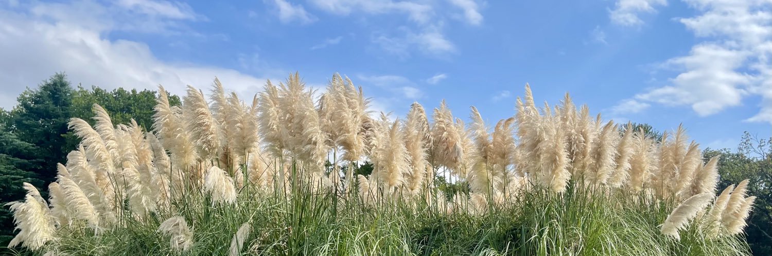 だいとく@編集者 banner