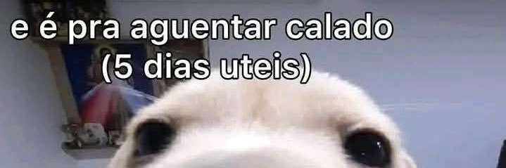 Marcelo viu a Lurdes dinovo banner