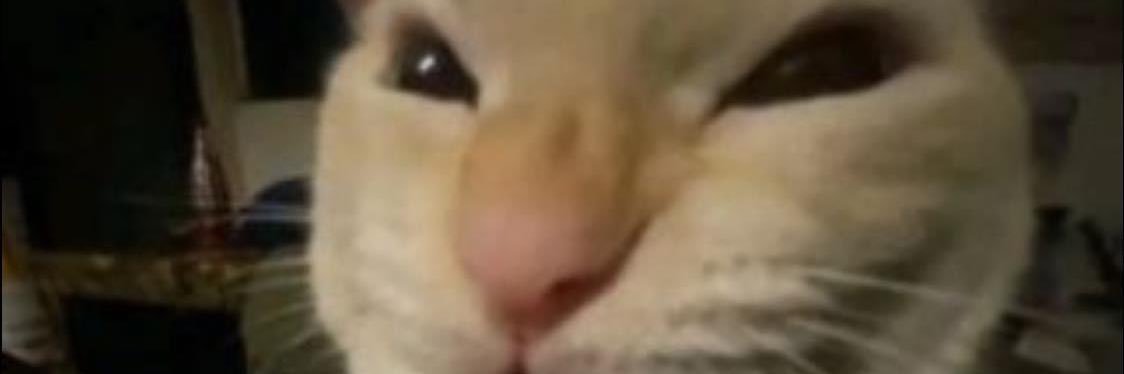 RenHeartz1's profile banner image
