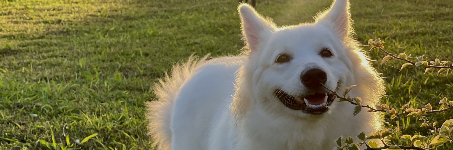 StephanyYejas's profile banner image