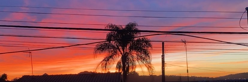 _mandik_'s profile banner image