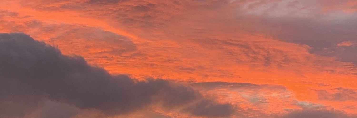 🦖 banner