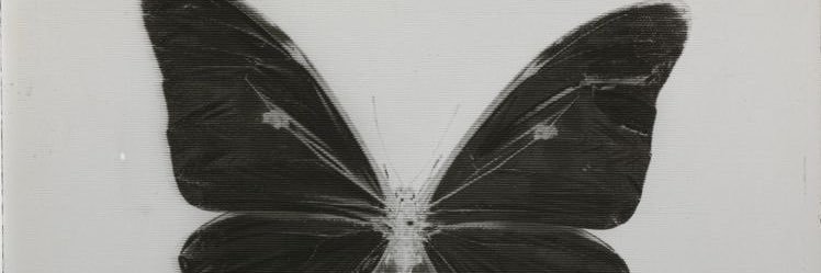 sonxall's profile banner image