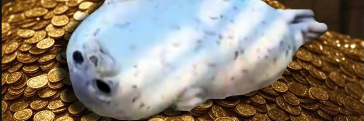 MochiCTOonSol's profile banner image