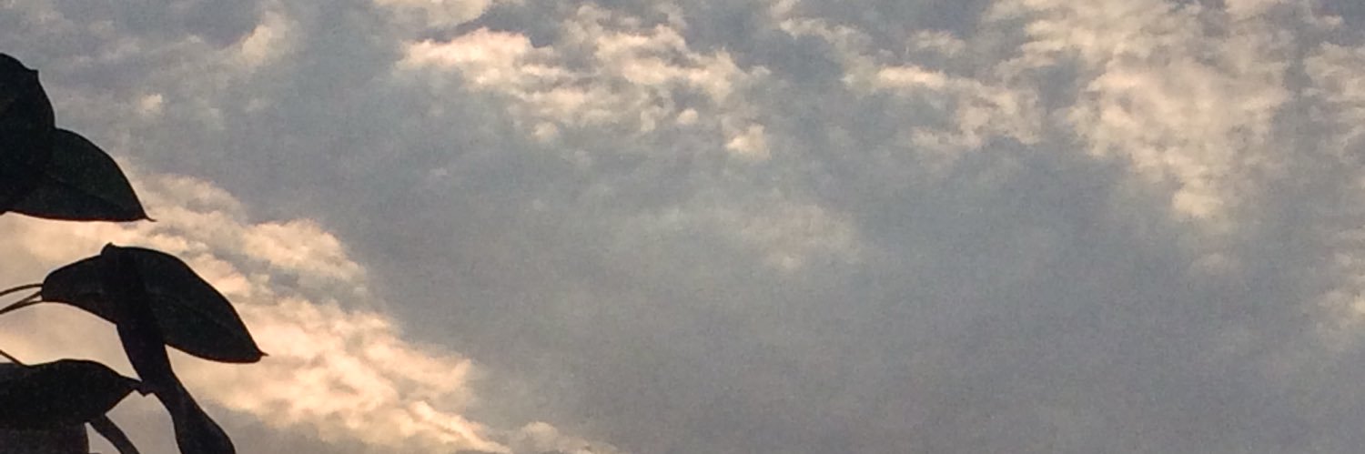 yhvsparrow's profile banner image