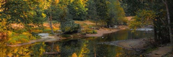 __78Elif Profile Banner