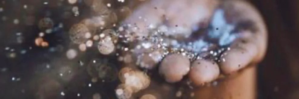 Xavier Lux banner