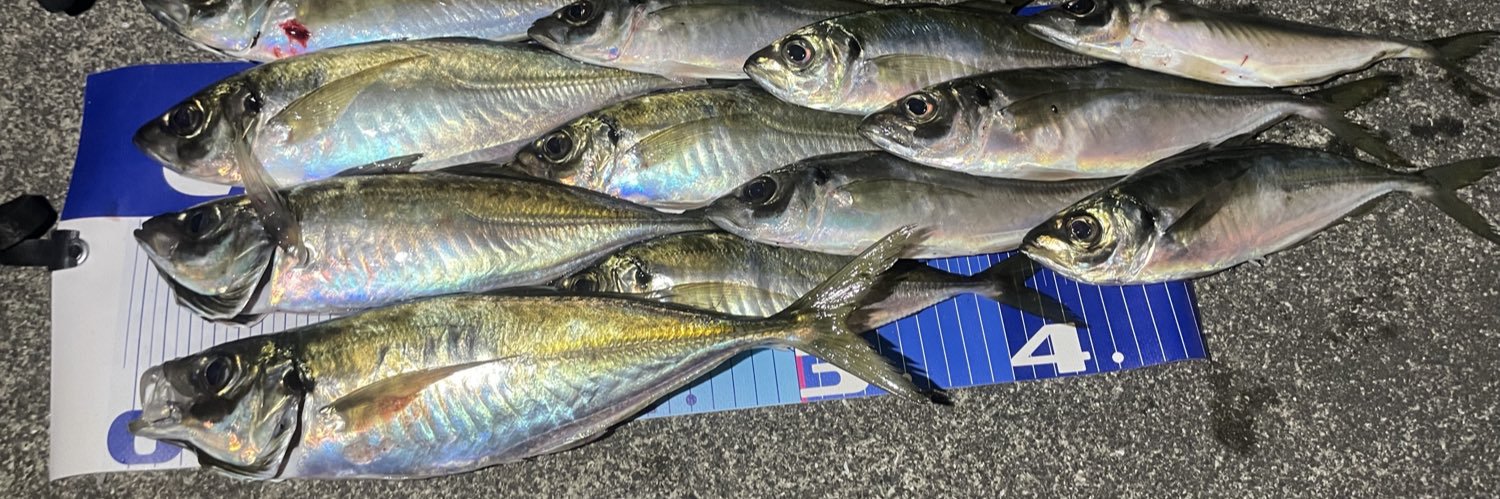BlueOn_Fishing's profile banner image