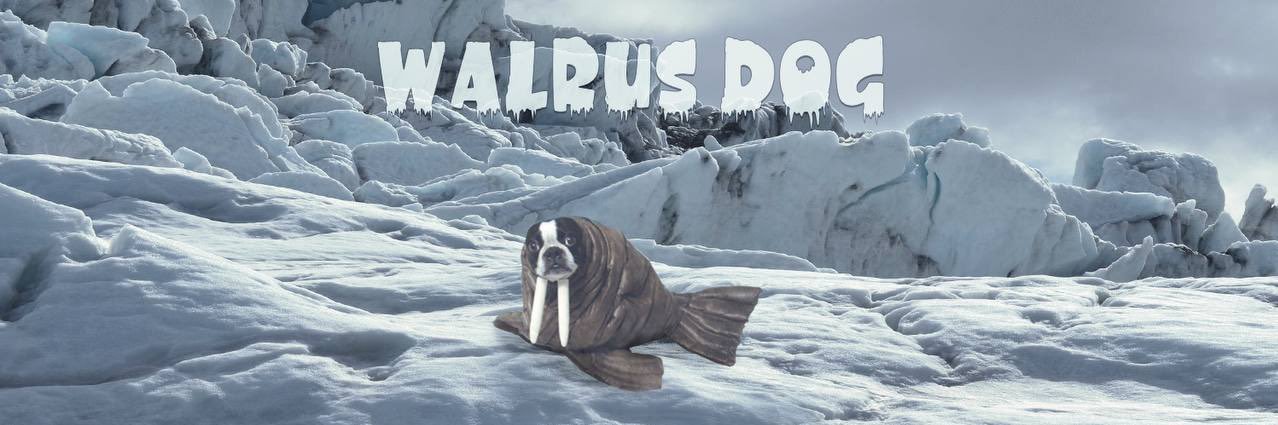 WALRUS DOG banner