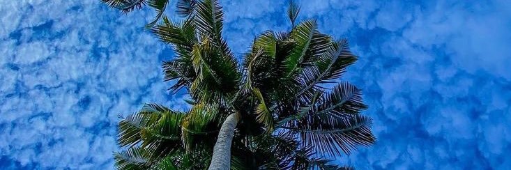 humble banner