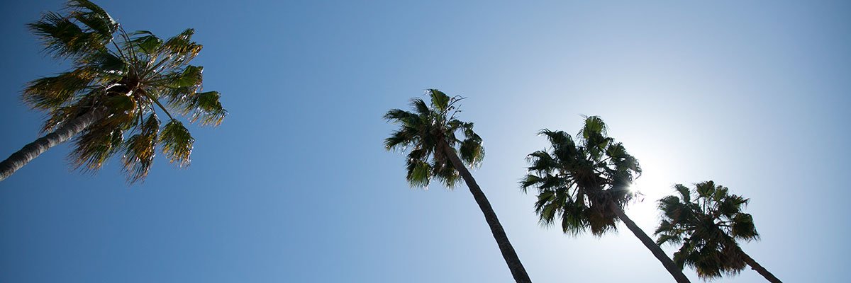 No longer taking your Tweets. banner