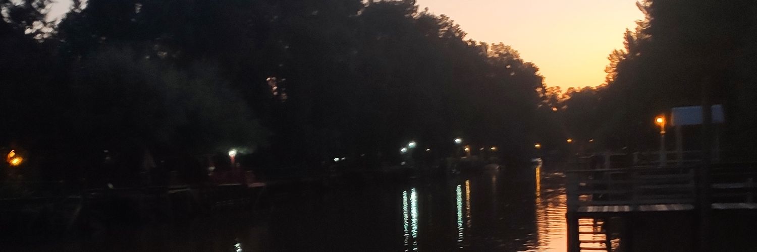 nperti's profile banner image