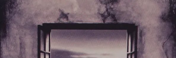 しづ⋆͛ banner
