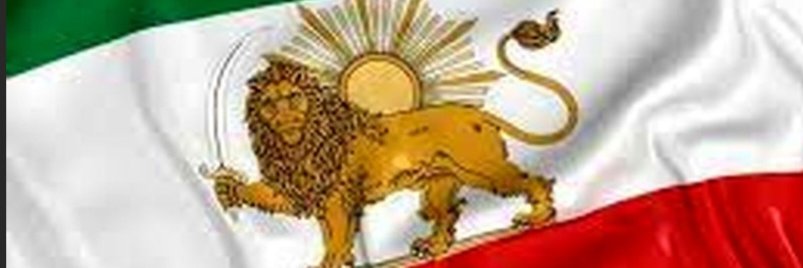 LIONSUN1365's profile banner image