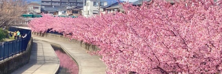 okuchi0603's profile banner image